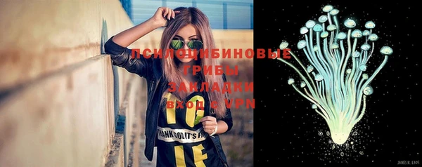 кристаллы Гусь-Хрустальный