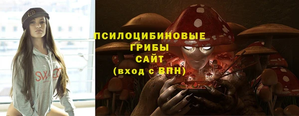 кристаллы Гусь-Хрустальный