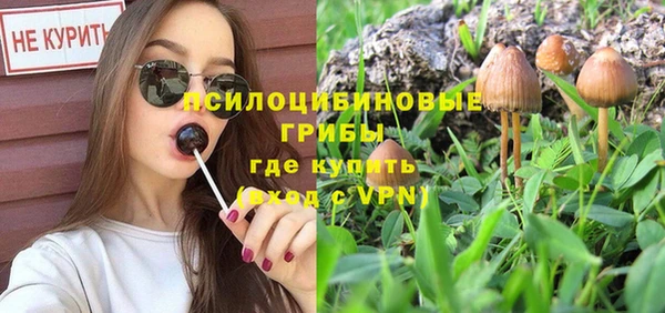 кристаллы Гусь-Хрустальный