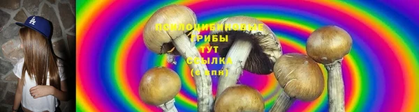 кристаллы Гусь-Хрустальный