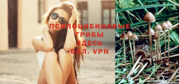 кристаллы Гусь-Хрустальный